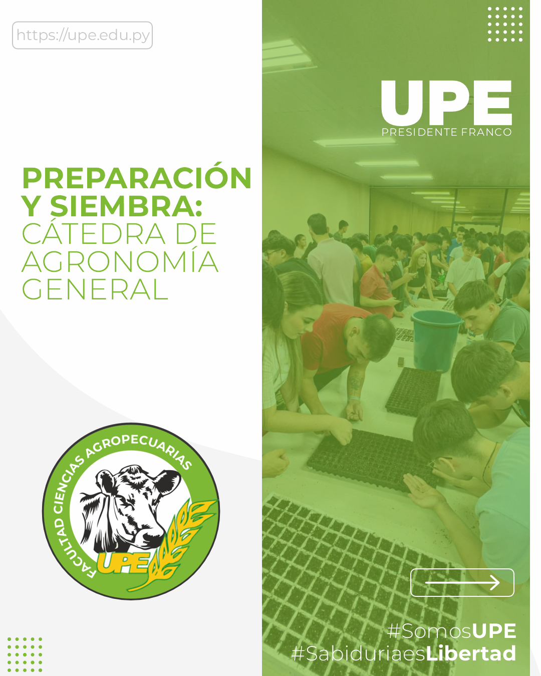 Práctica Agronómica: Sustrato y Siembra en Bandejas de Germinación